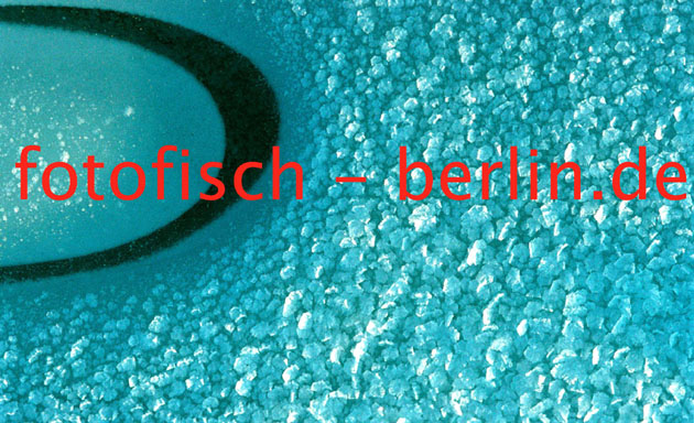 Gerhard F. Ludwig - http://www.fotofisch-berlin.de