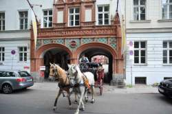 http://www.fotofisch-berlin.de - GAST.FREUNDSCHAFT_Wien-Berlin